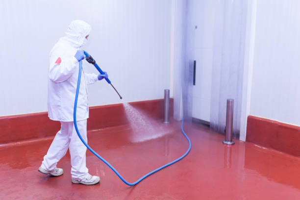 Best Winterizing Services  in Lake Shastina, CA