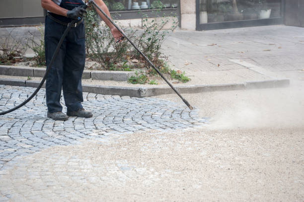 Best Fence Cleaning  in Lake Shastina, CA