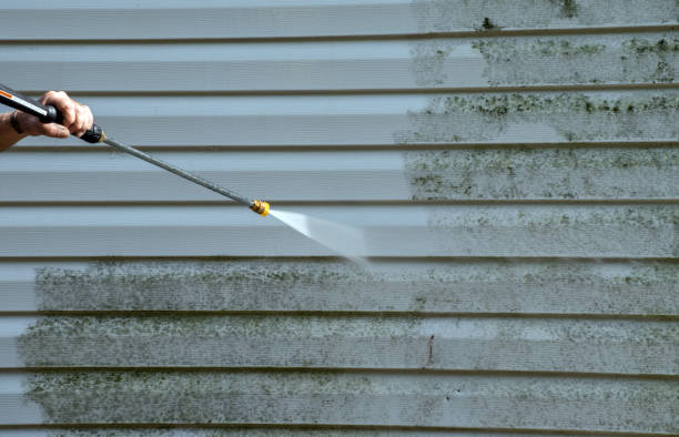 Best Gutter Cleaning  in Lake Shastina, CA