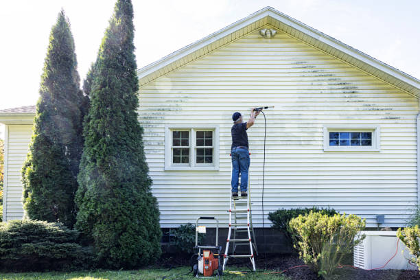 Spring Cleaning in Lake Shastina, CA